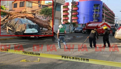 মেক্সিকোতে ৬.৫ মাত্রার ভূমিকম্পে