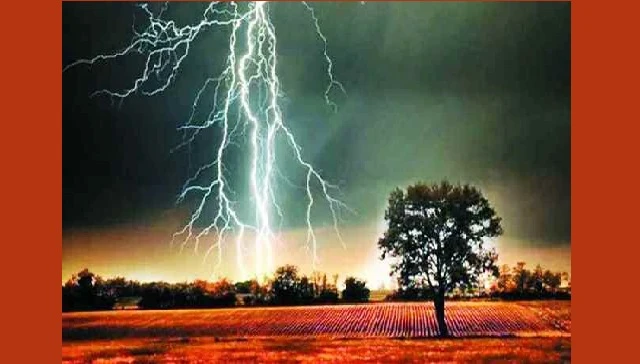 বিভিন্ন জেলায় বজ্রপাতে ১২ জনের প্রাণহানি