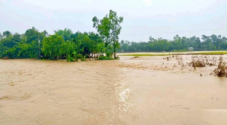 ময়মনসিংহে পাহাড়ি ঢলে তলিয়েছে ফসল