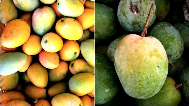 নিরাপদ আম চেনার উপায়