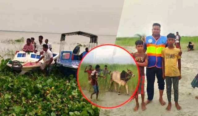পদ্মায় ট্রলারডুবিতে ব্যবসায়ীসহ ২৩ গরু নিখোঁজ