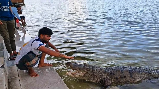 খানজাহান আলী মাজারের দিঘি থেকে কুমির সরানোর সিদ্ধান্ত