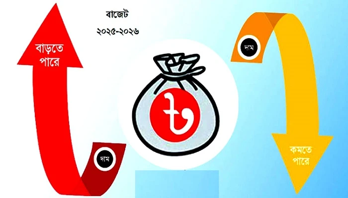 বাজেটে যেসব পণ্যের দাম কমতে ও বাড়তে পারে
