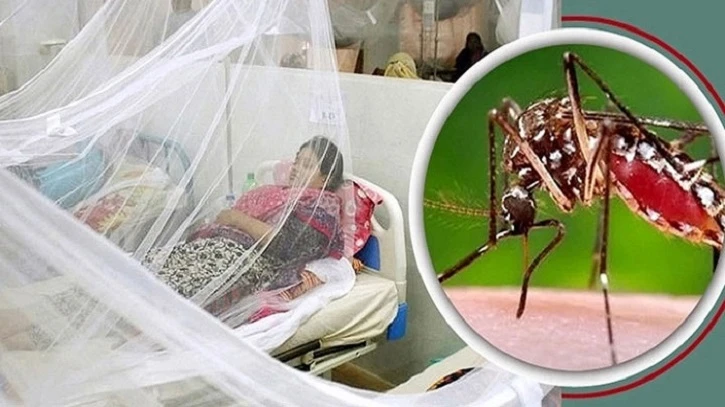 ডেঙ্গুতে ২ জনের মৃত্যু, হাসপাতালে ১৫৭