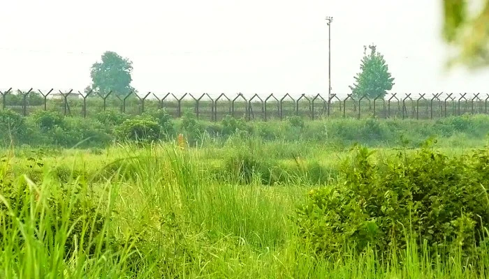 নওগাঁ সীমান্তে ৯ জনকে পুশইনের চেষ্টা বিএসএফের