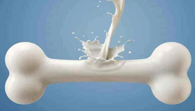 বেশি দুধ খেলেই কি হাড় থাকবে মজবুত?