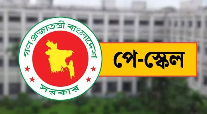 এক ধাপেই বাস্তবায়ন চান সরকারি কর্মচারীরা