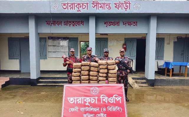 ফেনী সীমান্তে ৫৬ কেজি ভারতীয় গাঁজা জব্দ