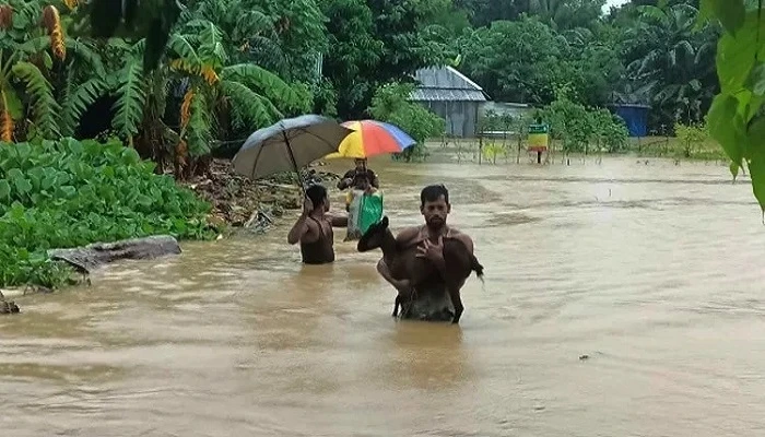 বন্যা ও পাহাড় ধসে সাত জেলায় প্রাণহানি বেড়ে ৫৪
