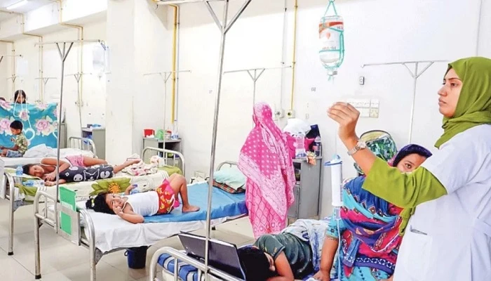 ডেঙ্গুতে আরও ৩ জনের মৃত্যু, হাসপাতালে ভর্তি ৫১২
