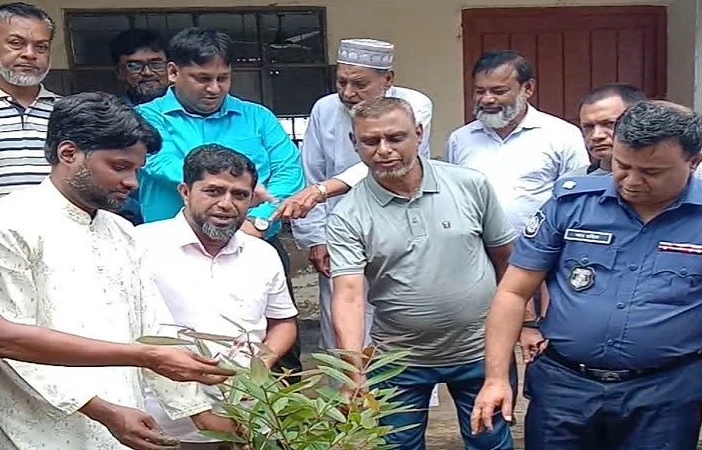 সেনবাগ বৃক্ষরোপণ কর্মসূচি, শিক্ষার্থীদের মাঝে চারা বিতরণ