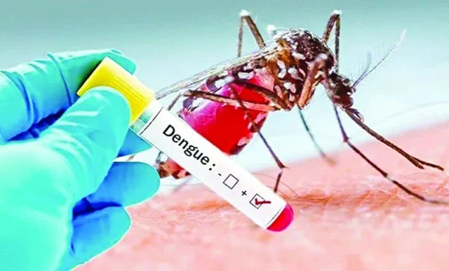 ডেঙ্গুতে আরও ৩ জনের মৃত্যু