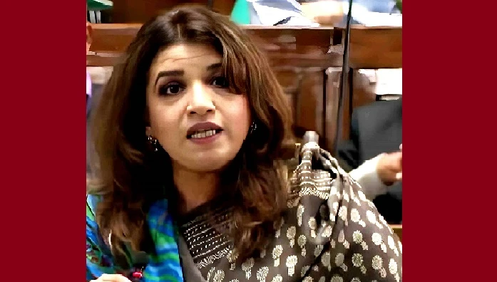 আ.লীগের কার্যক্রম নিয়ে ভারতকে কড়া বার্তা শামা ওবায়েদের