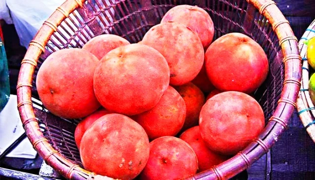 পুষ্টিগুণে ভরপুর দেশীয় ফল গাব