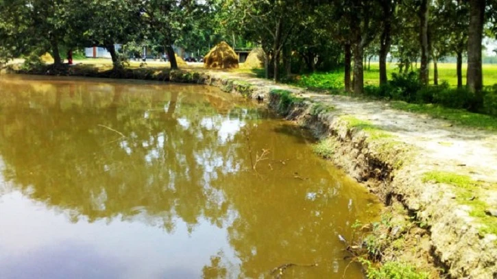 সেনবাগে পুকুরের পানিতে ডুবে শিশুর মৃত্যু