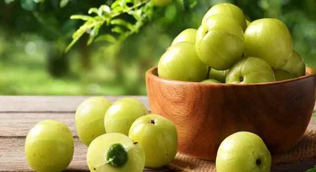 আমলকী খাওয়ার সঠিক নিয়ম