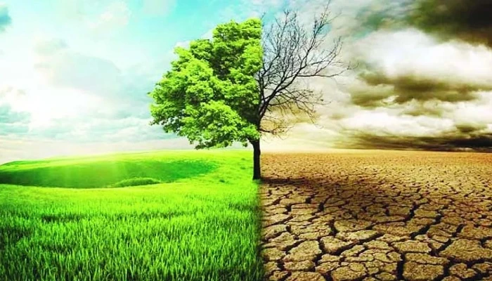 জলবায়ু পরিবর্তন: বাস্তুচ্যুতি, বৈষম্য ও মানবিক ঝুঁকি