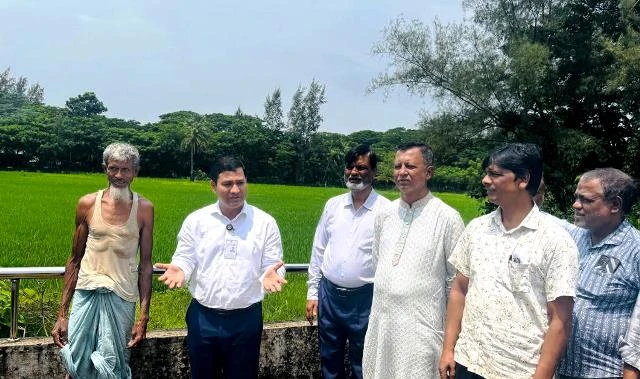 হাতিয়াতে খেতে কীটনাশক স্প্রে, শ্রেণিকক্ষে অসুস্থ ১৬ শিক্ষার্থী
