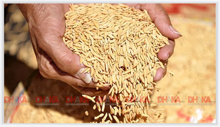 আগামী রোববার থেকে  আমন সংগ্রহ অভিযান শুরু কেজিপ্রতি বাড়ছে ৩ টাকা